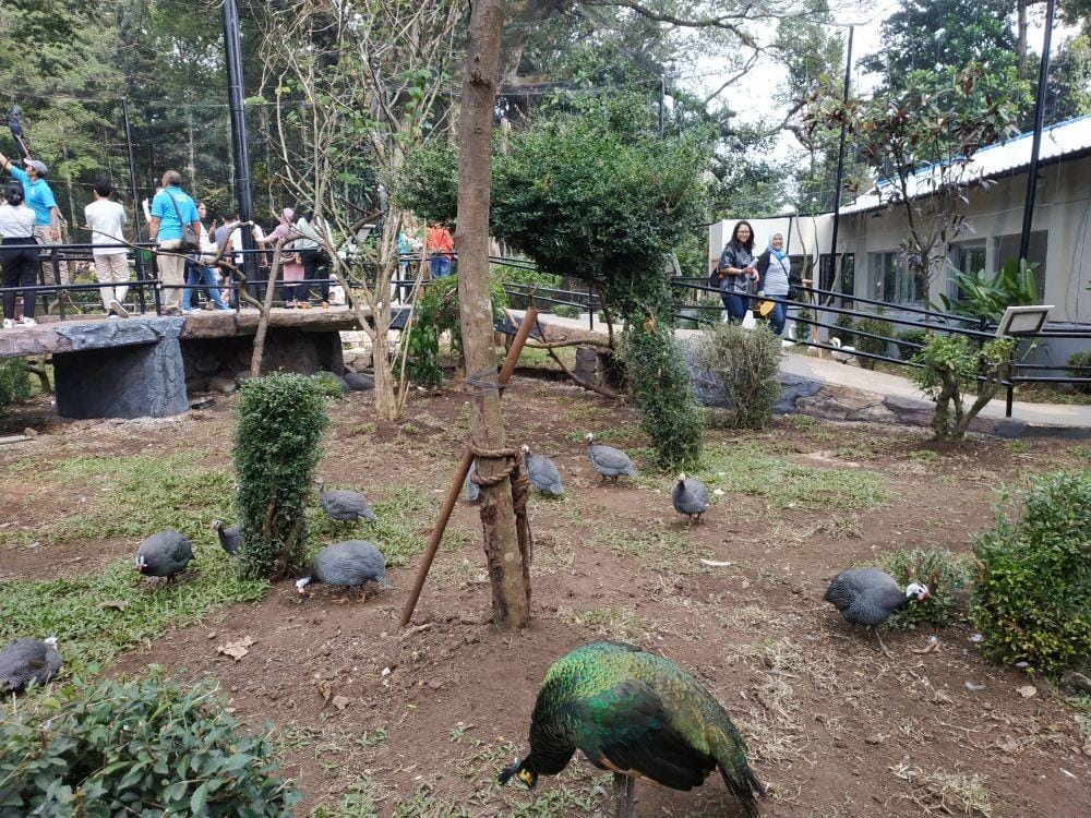 IDN Times/Debbie Sutrisno