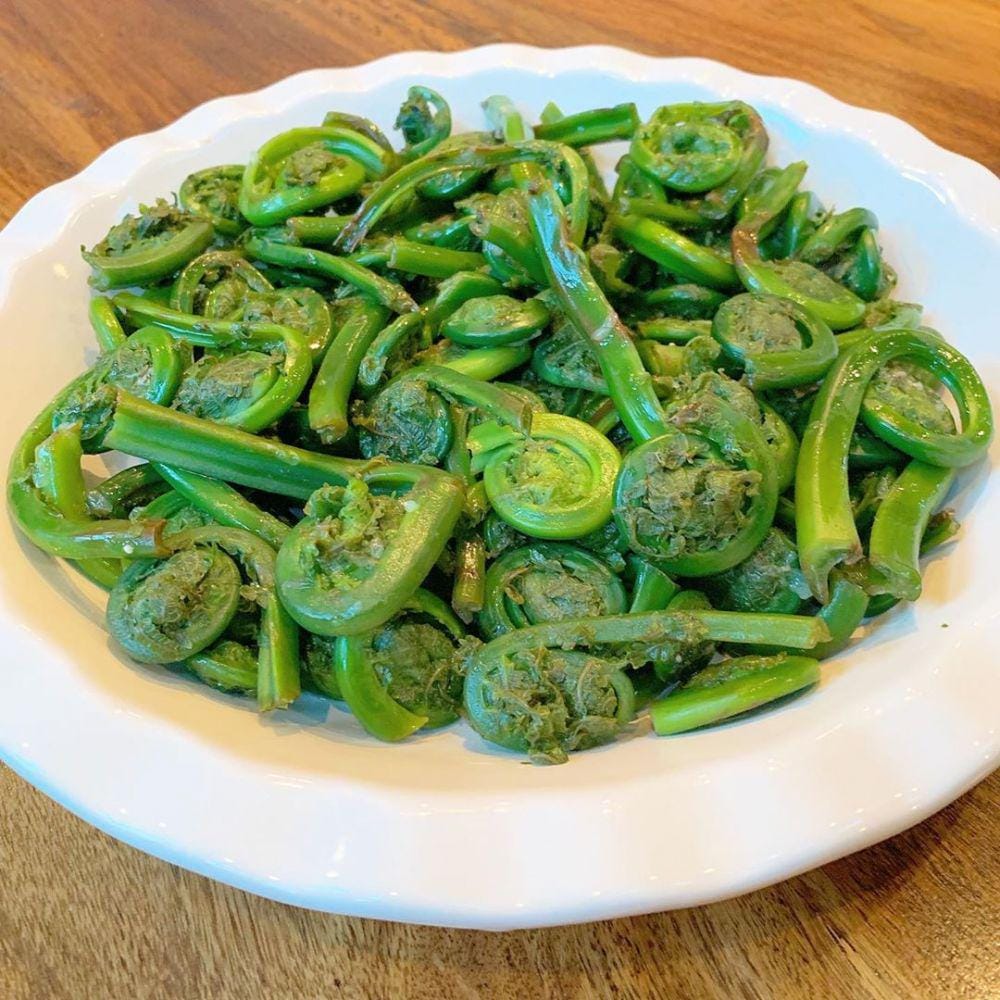 instagram.com/mpbroderick