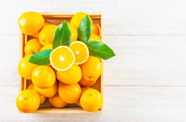 freepik/lifeforstock