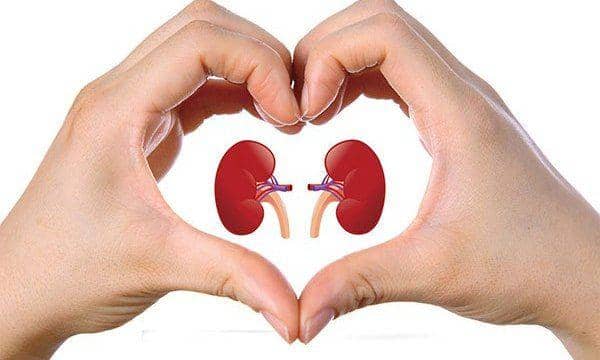 medikalteknik.com.tr