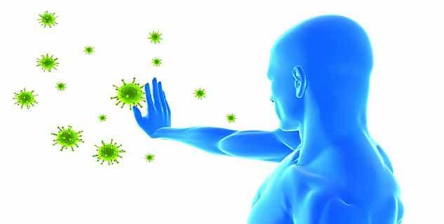 efficientmicrobes.co.za