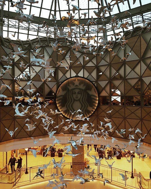 instagram.com/comglass