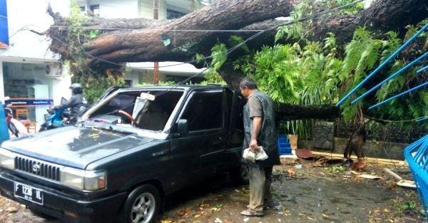 IDN Times/Toni Kamajaya