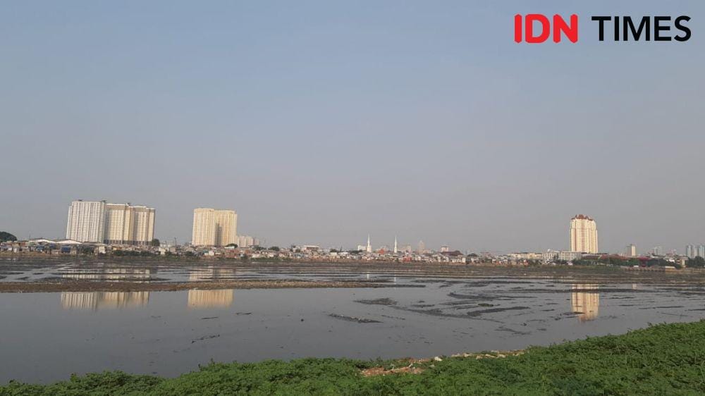 IDN Times/Gregorius Aryodamar P