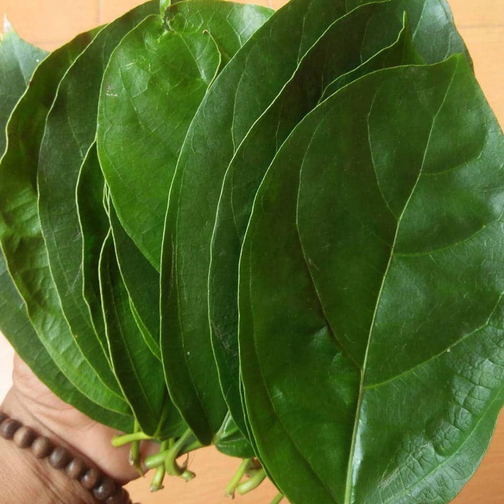 instagram.com/hanny_muktiarini