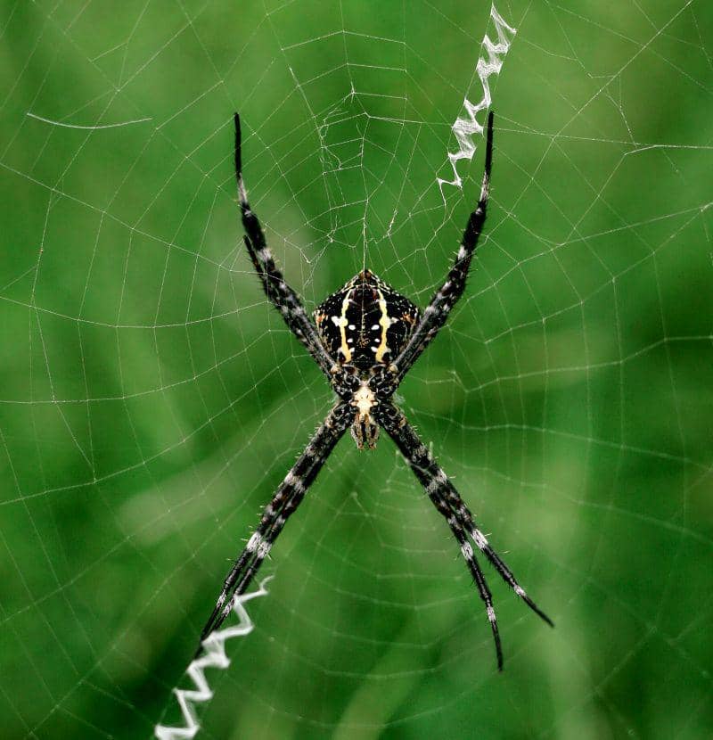 unsplash.com/Jeremy Julian