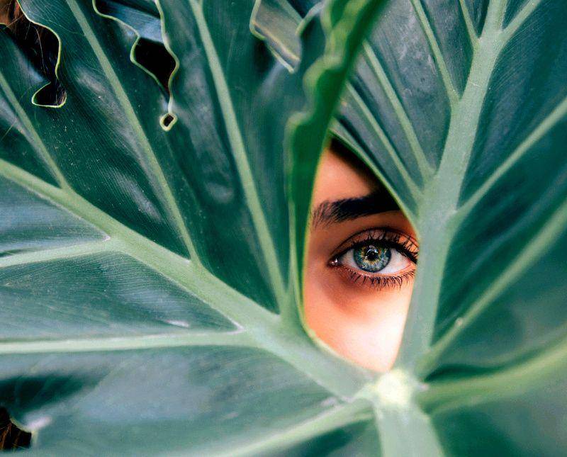 unsplash.com/Drew Graham