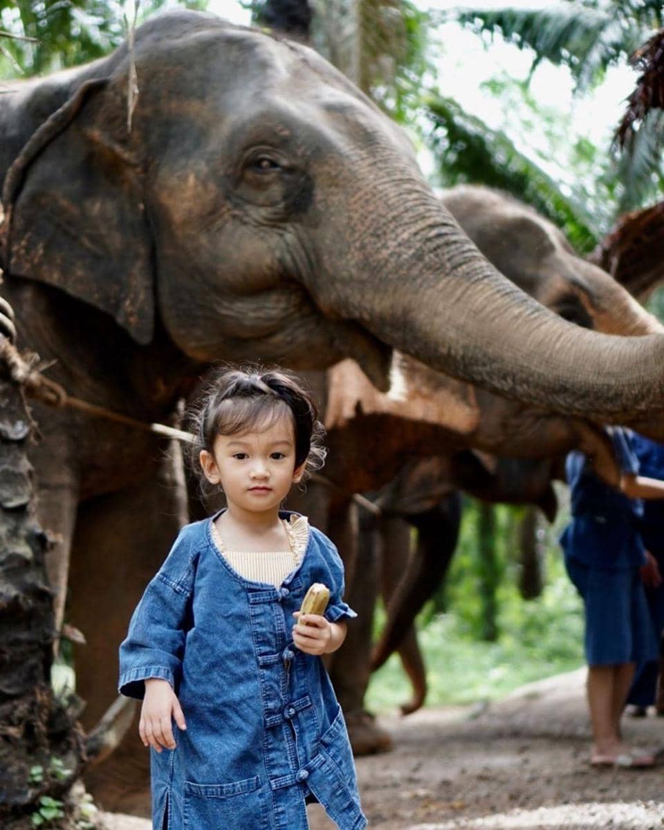 instagram.com/atiqahhasiholan