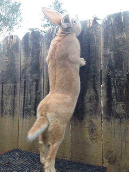 twitter.com/bushcamp2