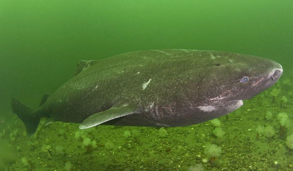 discovermagazine.com