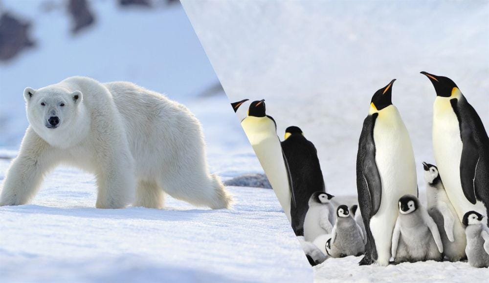 regent-holidays.co.uk