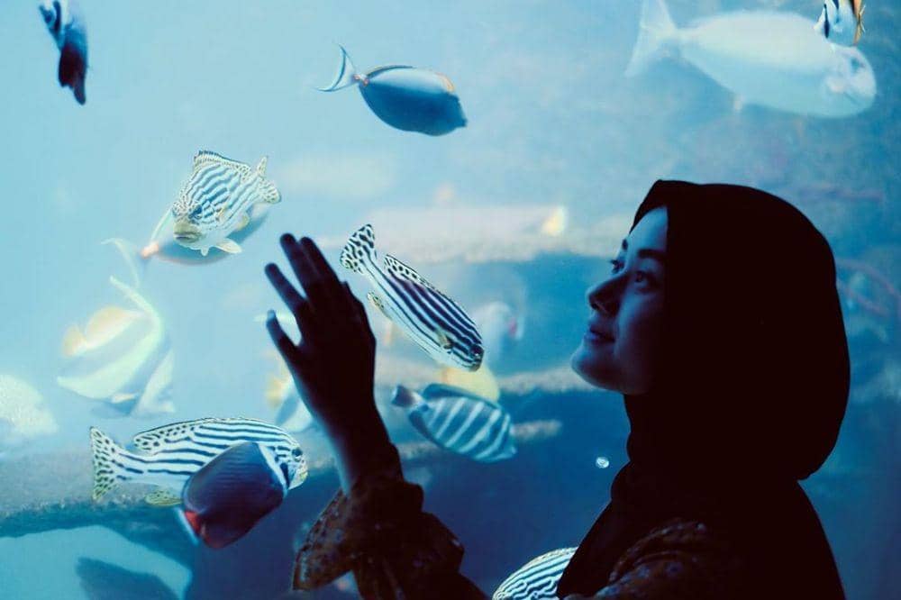 Instagram.com/dindahw