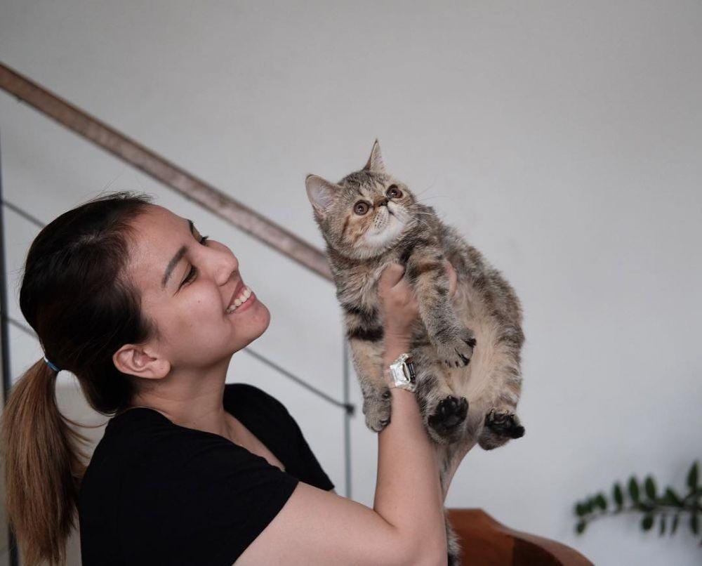 instagram.com/arnamircattery_tyaariestya