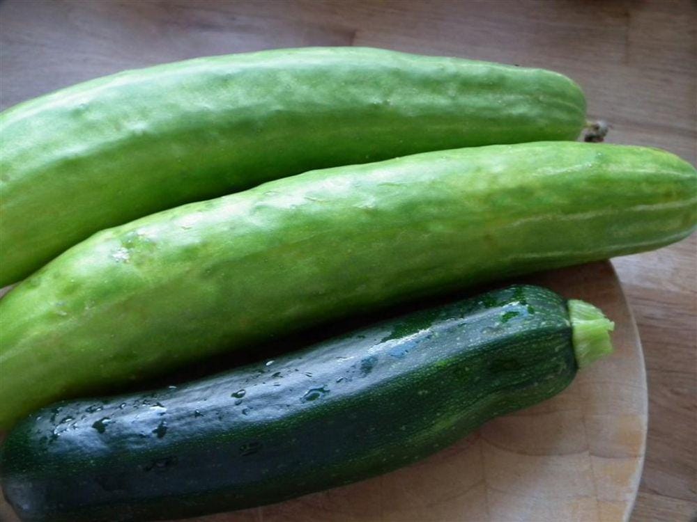 stiggyblog.wordpress.com