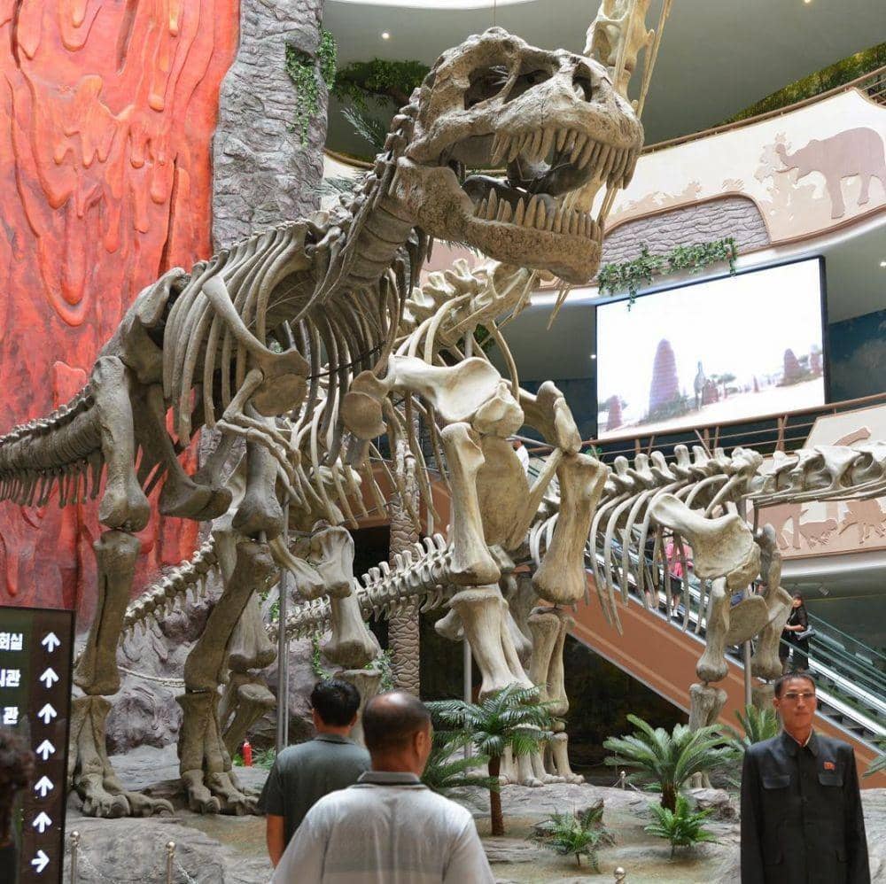 Instagram.com/lady_katherina__