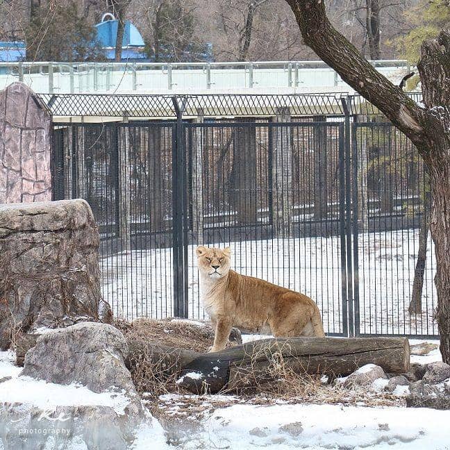 Instagram.com/fungkeke