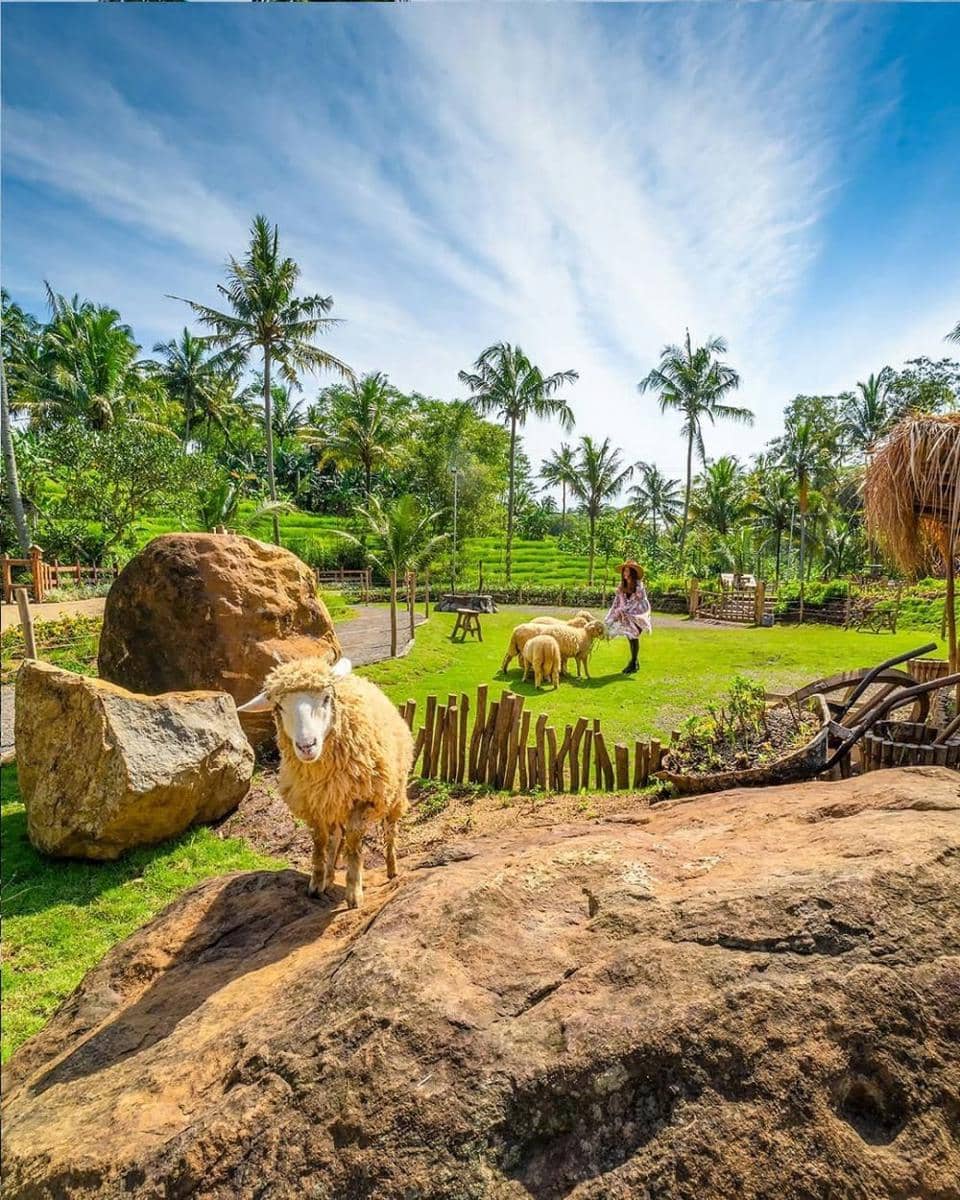 Instagram.com/hangoutsemarang.