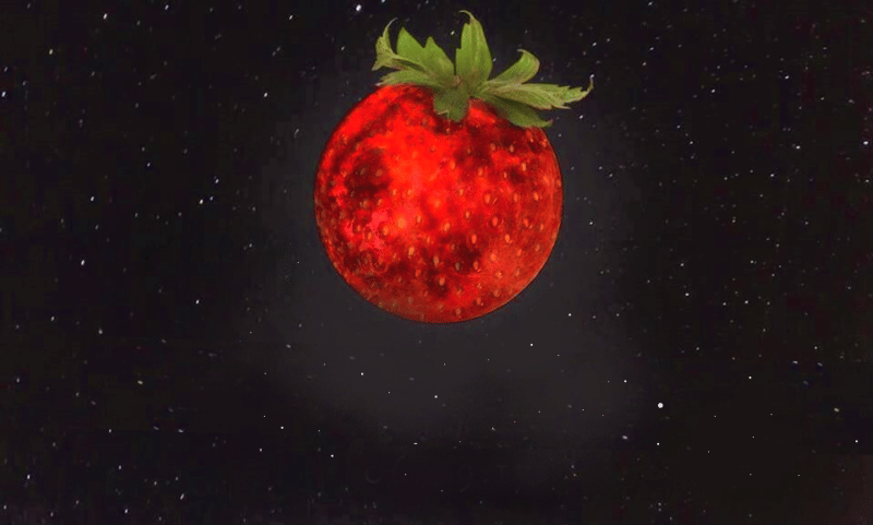 consciousreminder.com