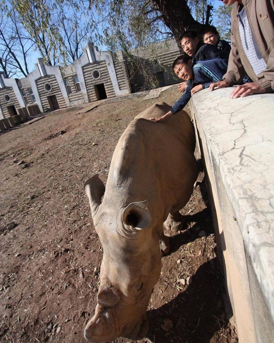 Instagram.com/jasonbournesstuntdouble