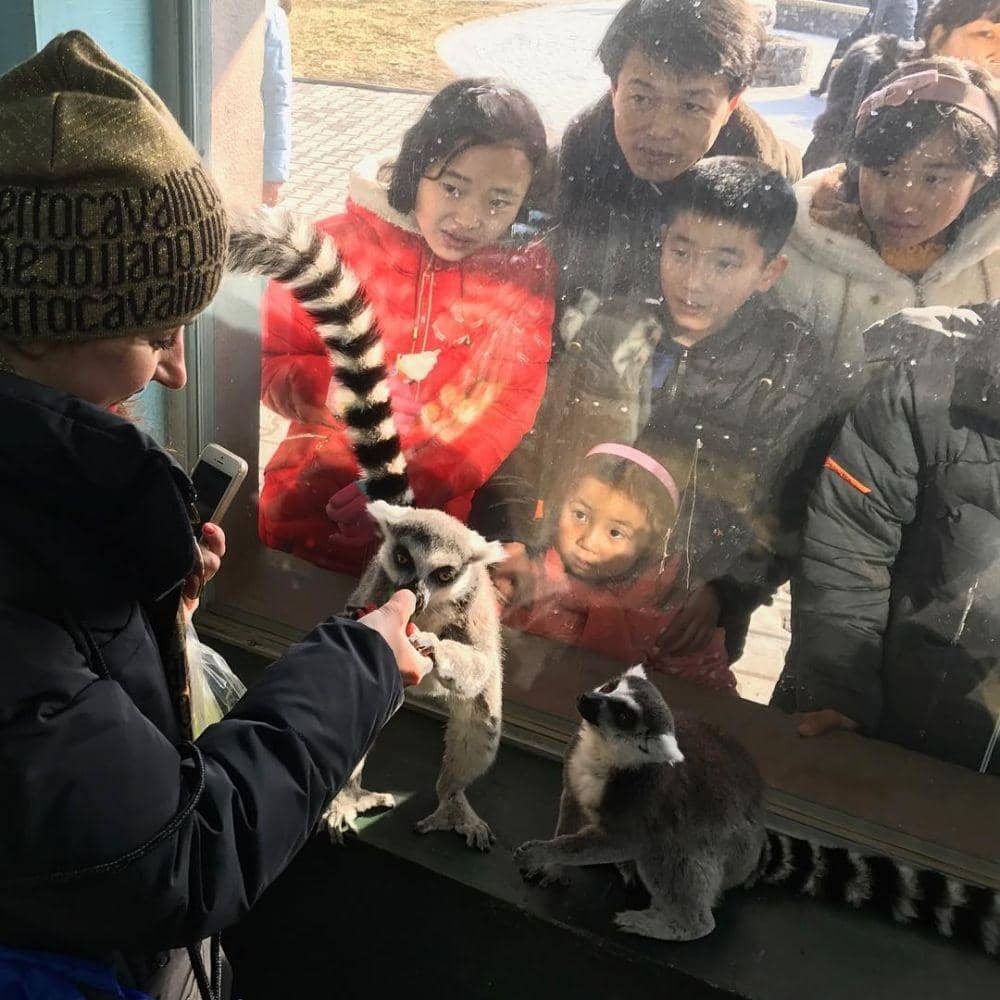 Instagram.com/lady_katherina__