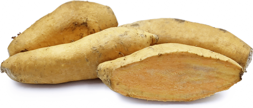 specialtyproduce.com