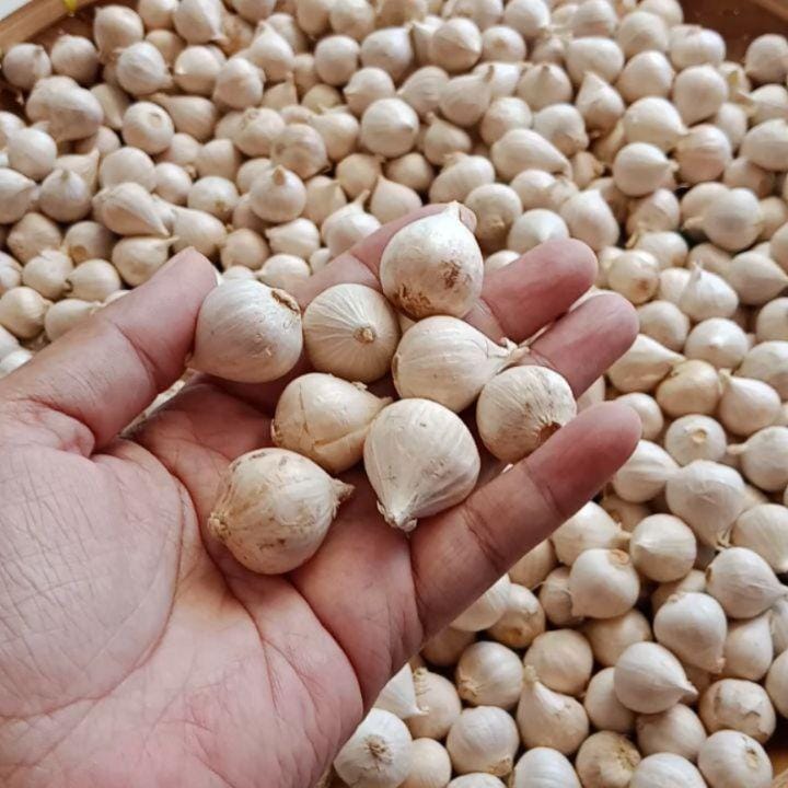 Instagram.com/hapsari2069