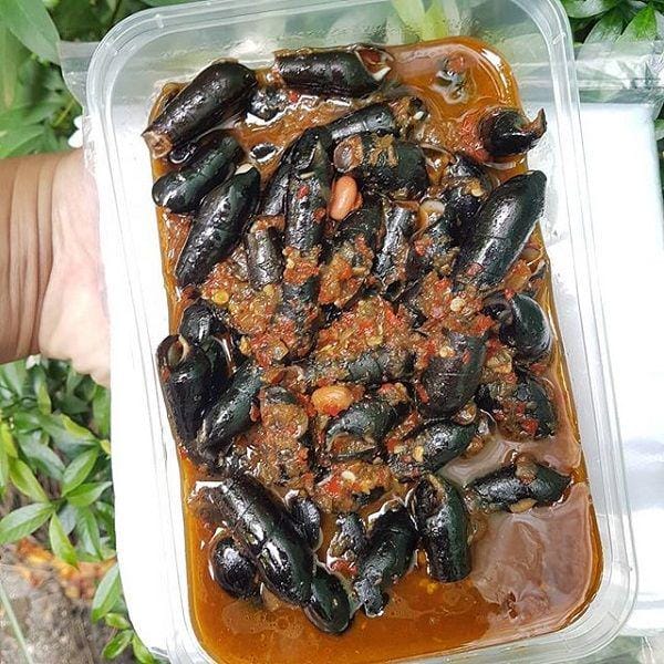 theinsta-stalker.com