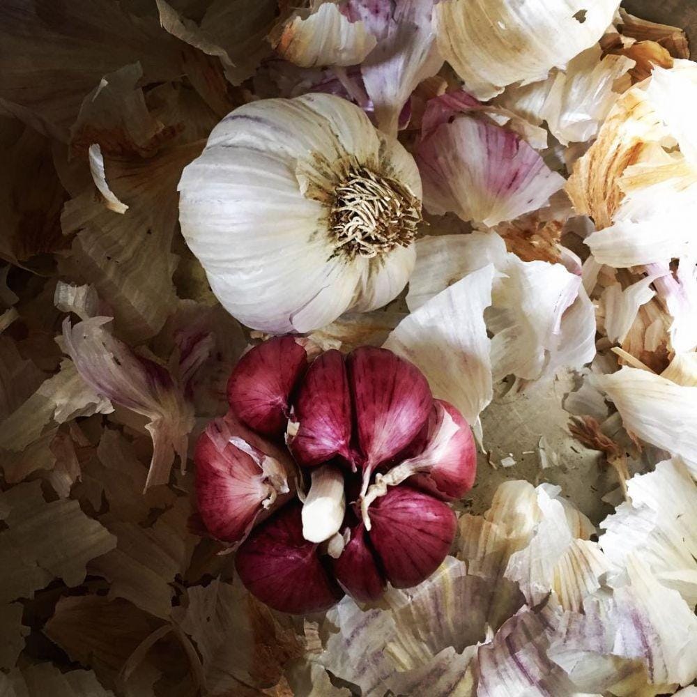 Instagram.com/pollinateflowers