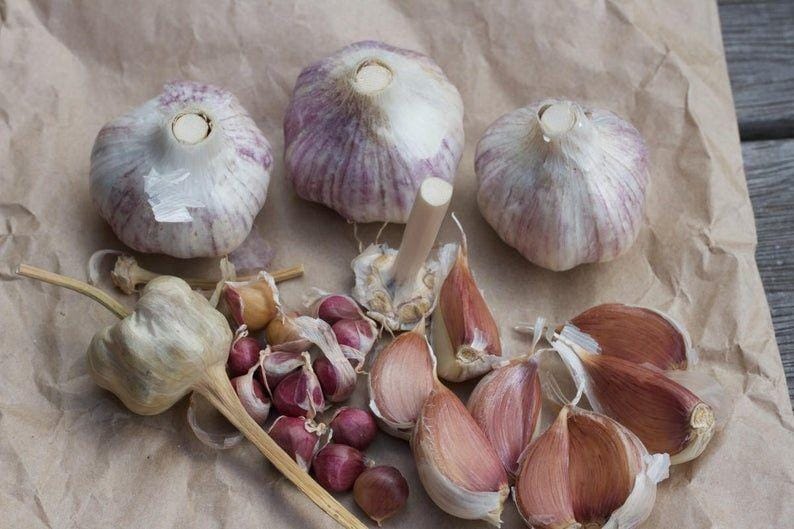 Instagram.com/etsy.com