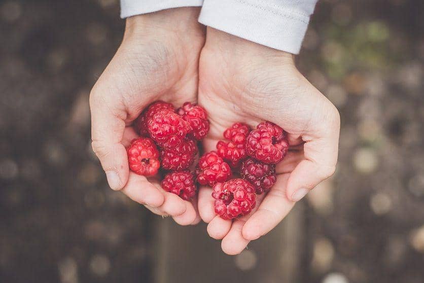 Unsplash/anniespratt