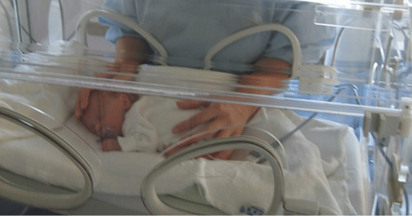 pixabay/PublicDomainPictures