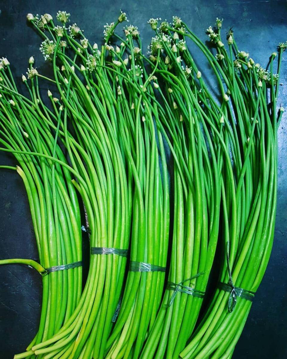 instagram.com/rimita_2