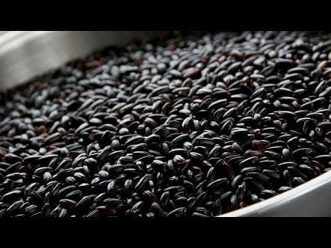 instagram.com/boltanggul_sukowati