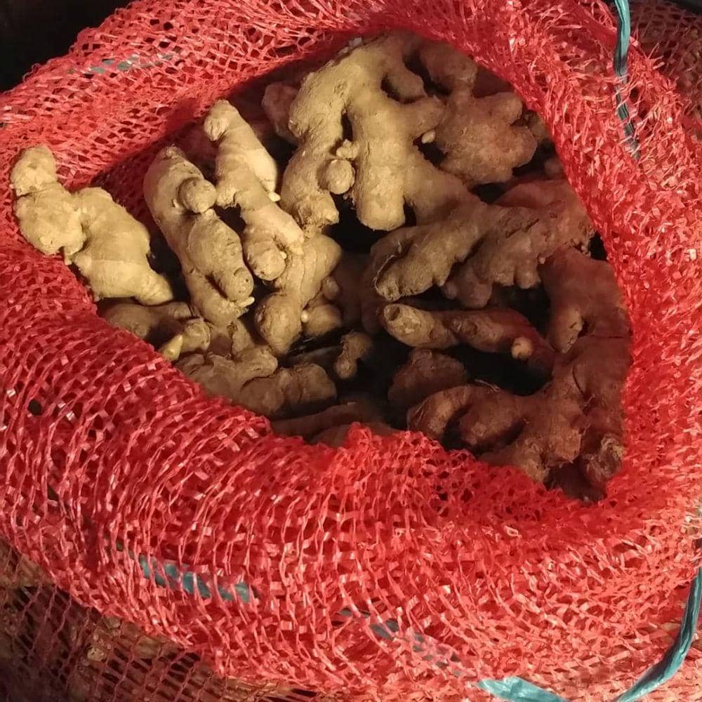 instagram.com/pino_alvino