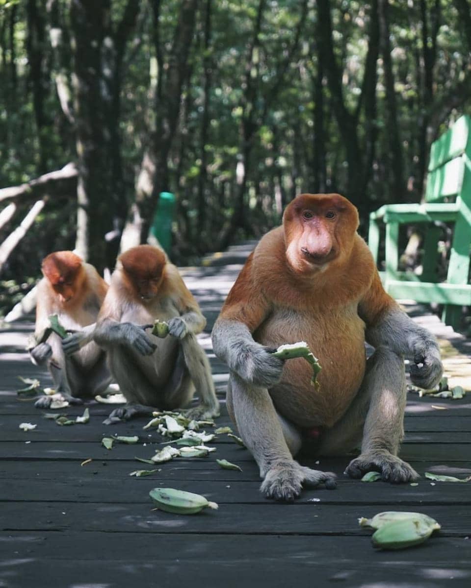 Instagram/kkmbtarakan