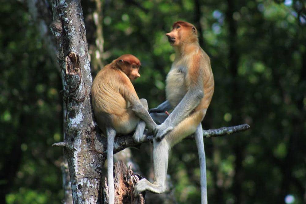 Instagram/Rifky Edo Herlangga