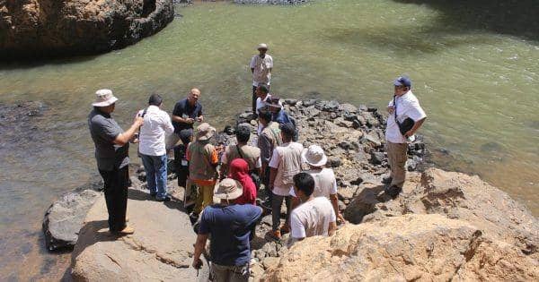 IDN Times/Toni Kamajaya