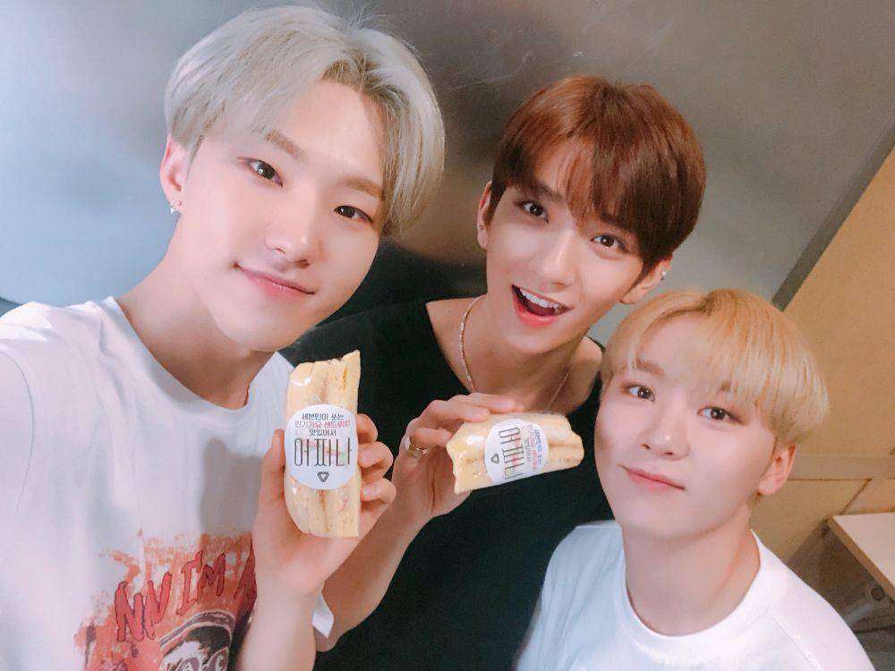 twitter.com/pledis_17