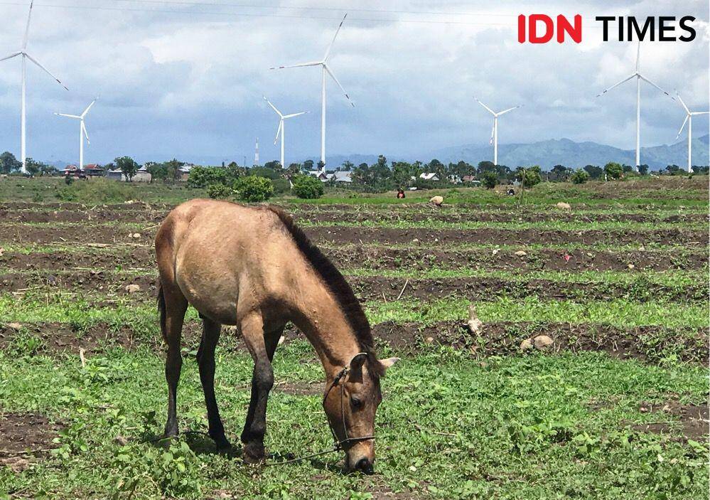 IDN Times/Abdurrahman