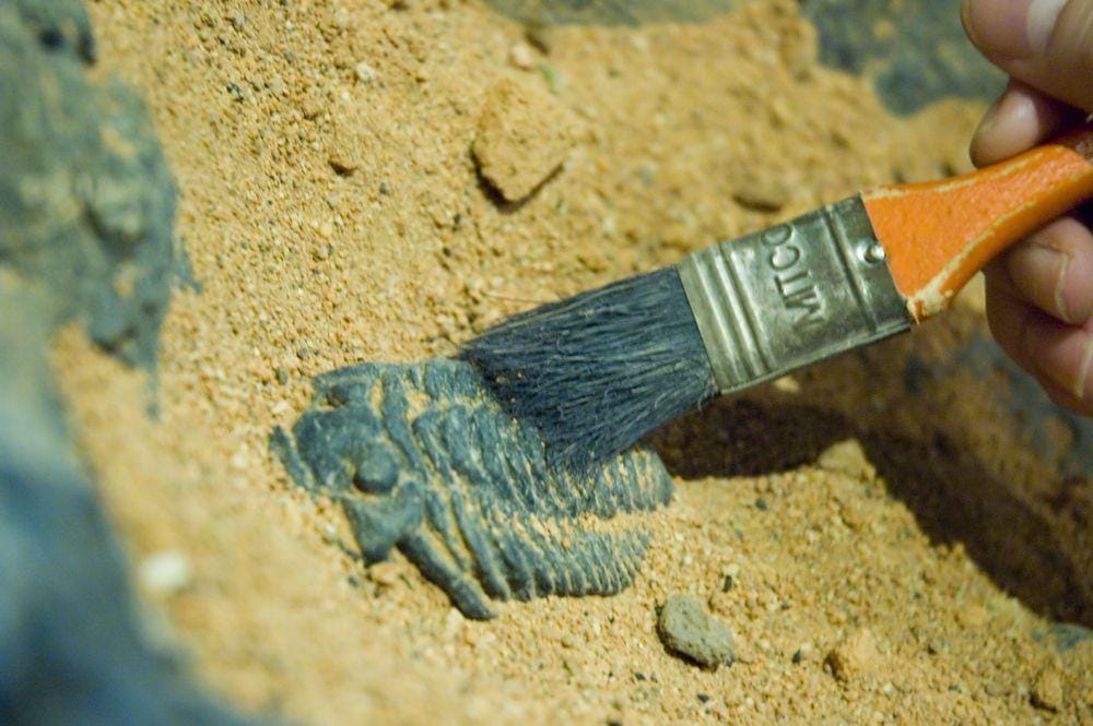 blogs.discovermagazine.com