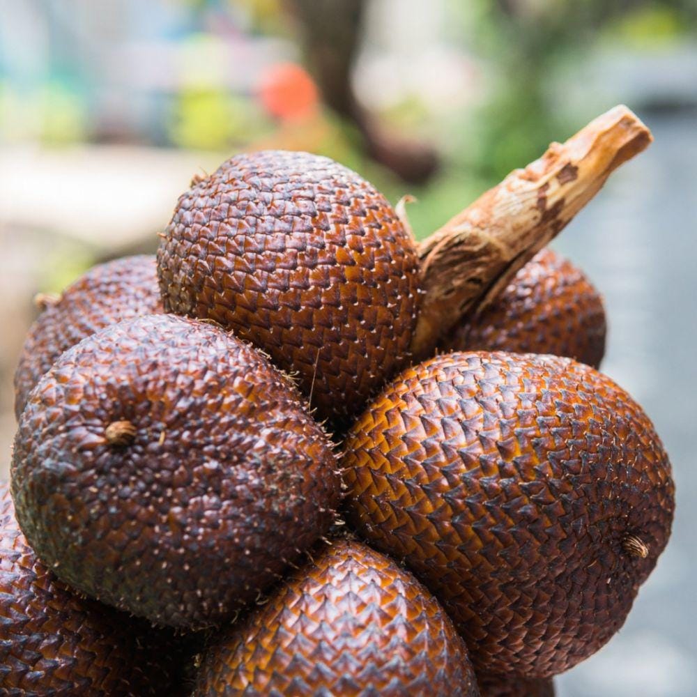 instagram.com/foodandroad_