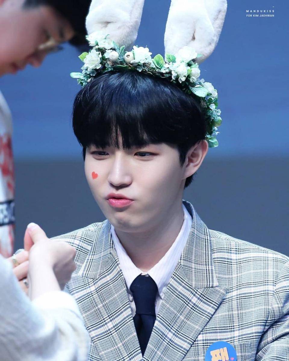 instagram.com/jaehwanieee___