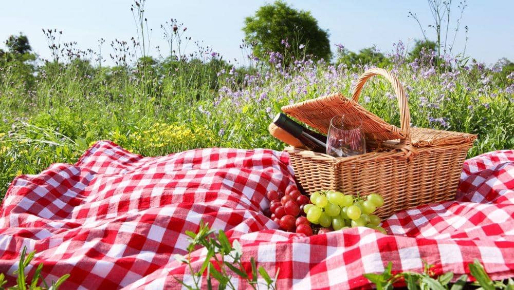 greenbaypressgazette.com