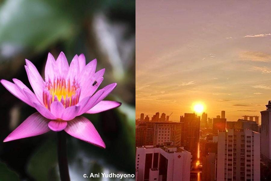 instagram.com/aniyudhoyono