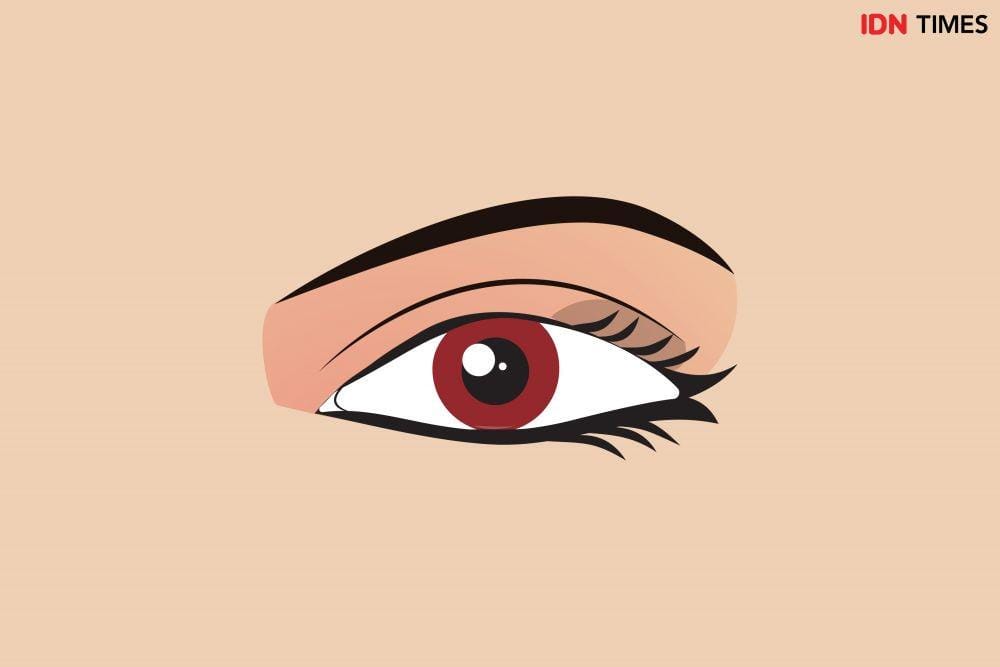 IDN Times/Arief Rahmat