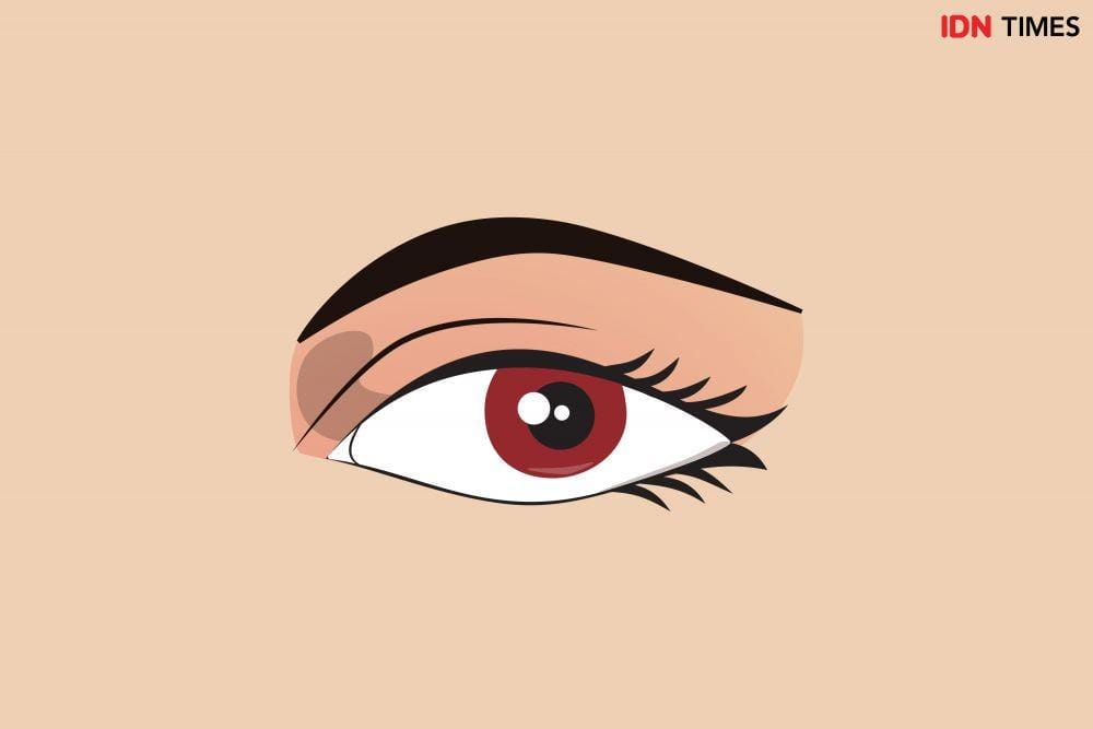 IDN Times/Arief Rahmat