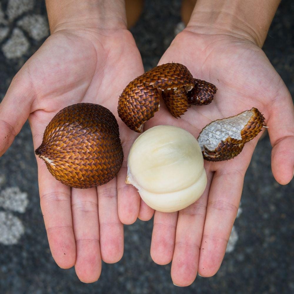 instagram.com/foodandroad_