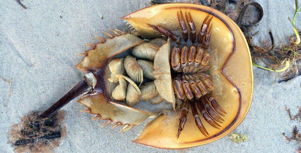 sciencenewsjournal.com