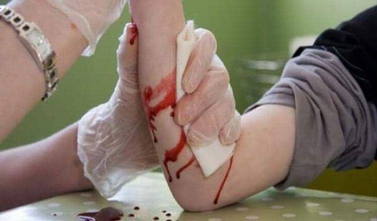 disastersurvivalskills.com