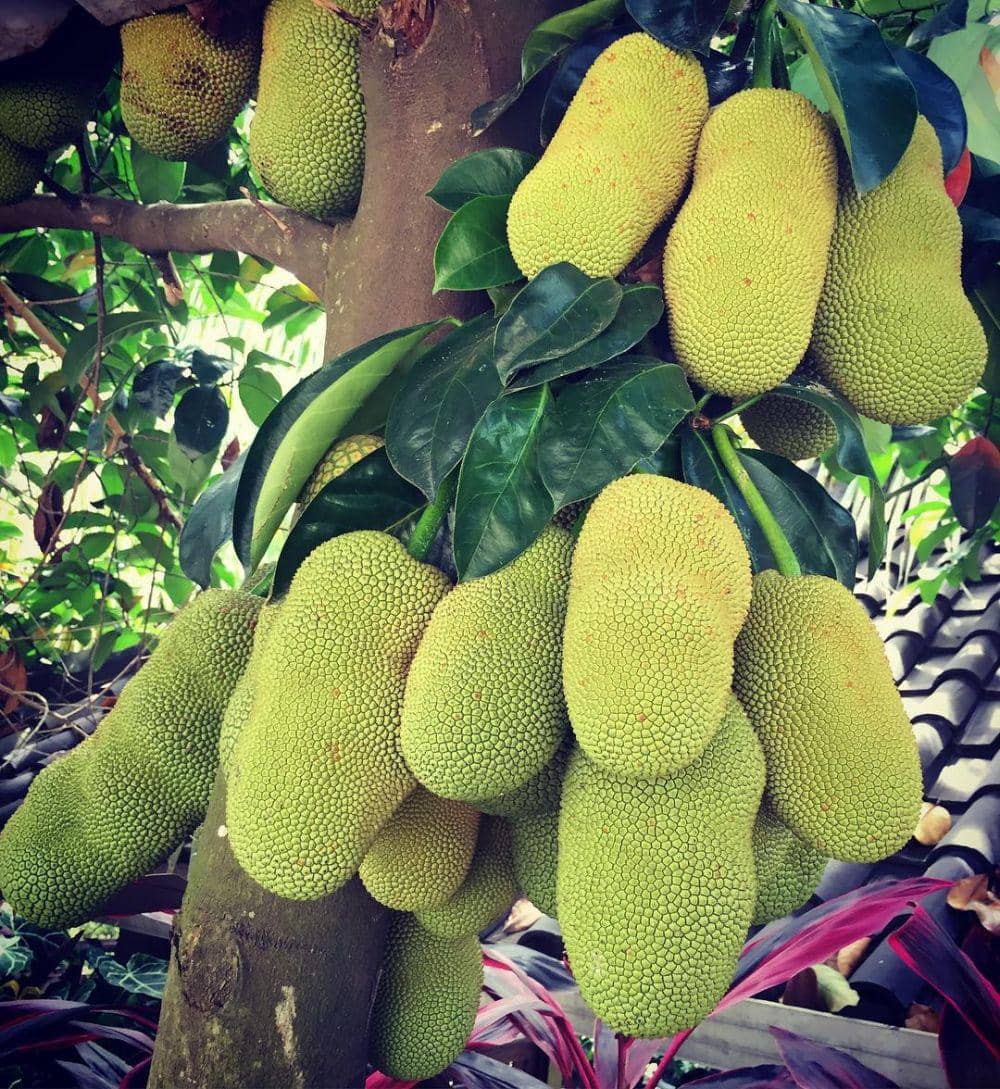 instagram.com/ibuk_ceria